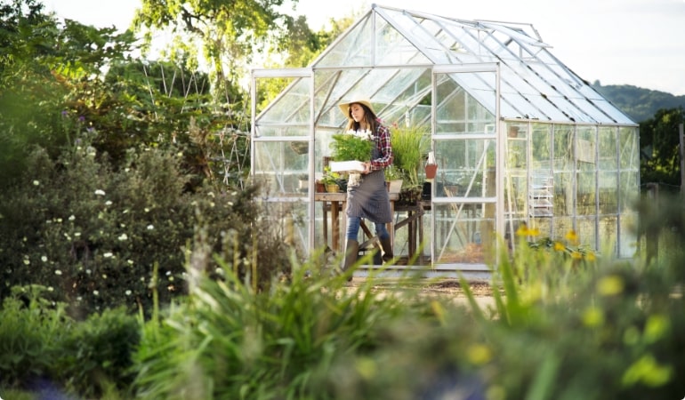 Landscaping Tips
